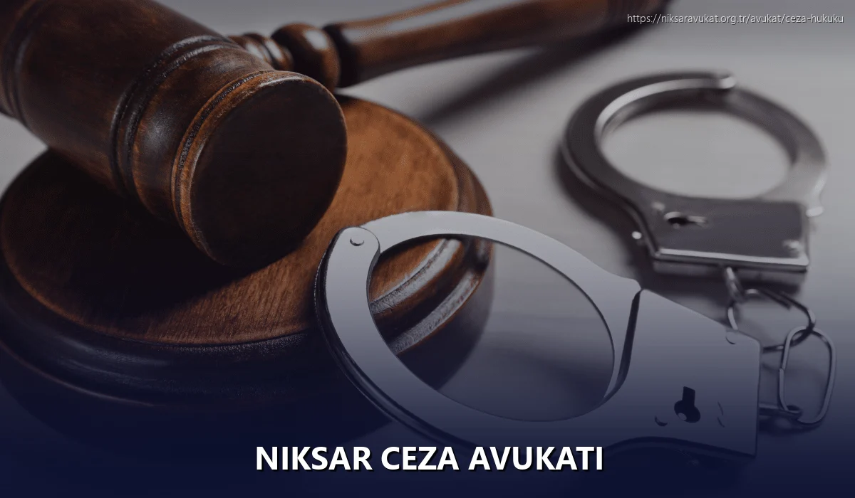 Niksar Ceza Avukatı